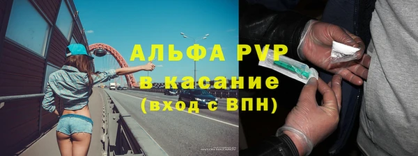 винт Абаза