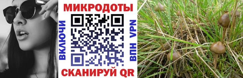 блэк спрут ONION  Иннополис  Псилоцибиновые грибы мухоморы 