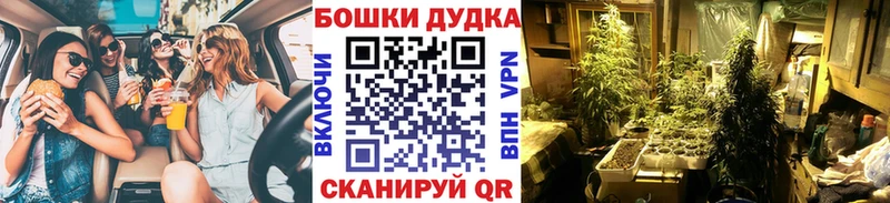 закладки Иннополис ОМГ ОМГ зеркало Бошки Шишки планчик
